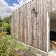 extension-bois-nature-plantes